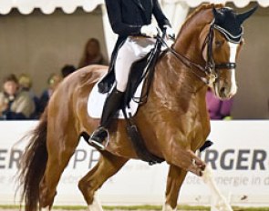 Beatrice Buchwald and Daily Pleasure at the 2016 CDI Donaueschingen :: Photo © Karl Heinz Frieler