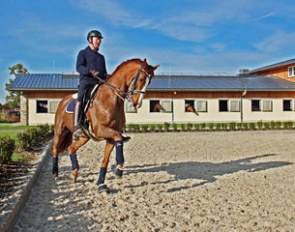 An international dressage stable in Düsseldorf is looking for a groom to complete its team
