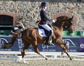Le Chiffre at the 2016 European Pony Championships in Vilhelmsborg, Denmark