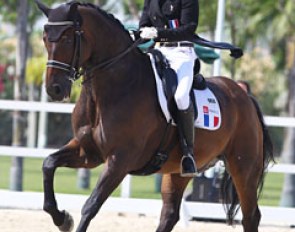Woodstock de la Guiche at the 2016 European Young Riders Championships :: Photo © Astrid Appels