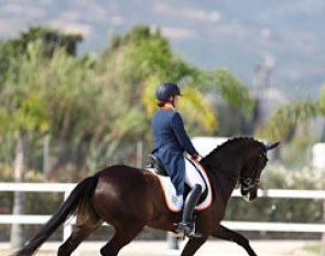 Jasmien de Koeyer rode the 7-year old Esperanza (by Desperados x Krack C), probably one of the best movers at the show. Mistakes and going off course kept them out of the medals and kur finals
