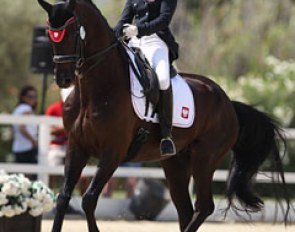 Joanna Tragarz on Harvard K