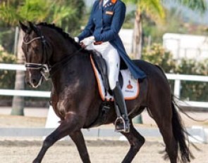 Diana van de Bovenkamp and Corvette at the 2016 European Junior Riders Championships :: Photo © Digishots