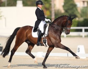 Alexa Westendarp and Der Prinz at the 2016 European Junior Riders Championships :: Photo © Astrid Appels