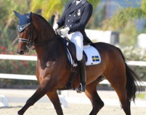 Capo Knight at the 2016 European Young Riders Championships in Oliva Nova, Spain :: Photo © Astrid Appels