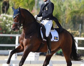 Swedish young rider Ludwig Wilken on Capo Knight at the 2016 European Young Riders Championships :: Photo © Astrid Appels