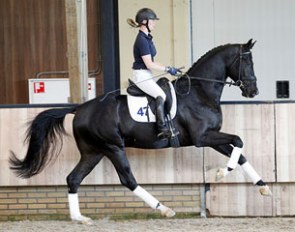 Dettori (by Desperado x De Niro x Warkant)