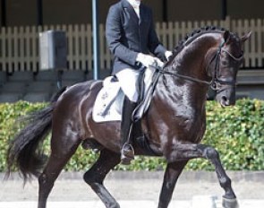 Benjamin Maljaars and Glamourdale at the final 2016 Dutch WCYH Selection trial in Ermelo :: Photo © Anniek van Schaik