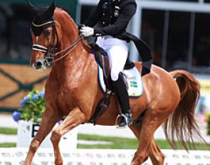 Marina Mattsson on the 14-year old Swedish bred Beckham (by Bernstein x Koncertz xx) which she took from junior to Grand Prix level