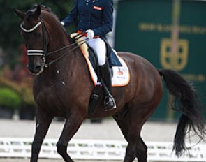 Maxime van der Vlist on Bailey (by Negro x Balzflug)
