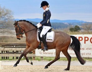 Ann-Sophie Goethals and Timberland at the 2016 CDI-PJYR Girona in Spain :: Photo © Andrea Rodriguez
