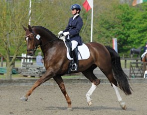Sarah Millis aboard Selene Scarsi's Oldenburg gelding Bodleian (by Belissimo M x Fidertanz)