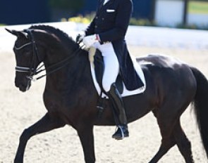 Hartwig Burfeind and Diva Noir in the Louisdor Cup qualifier at the 2016 CDI Hagen :: Photo © Astrid Appels