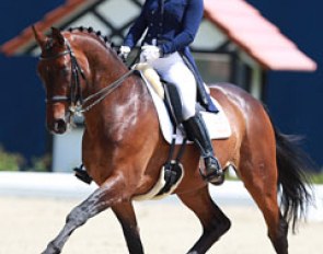 Barbara Davis on Don Antonio