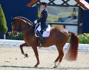 Emile Faurie made his CDI debut on Weekend Fun. Although Faurie rode on the safe, conservative side, the liver chestnut showed wonderful piaffe-passage work. Svalling had them at a incomprehensible low 64.80%, Plewa was the high score with 72.10%