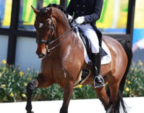 The Japanese came in full force to Hagen to compete as part of their Rio team selection process. Kiichi Harada and Egistar were the only pair contesting the Special tour in Hagen.