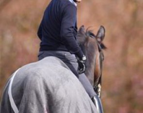 Japanese Hiroshi Hoketsu is back in the saddle and preparing his new Grand Prix horse Brioni W for their first CDI star in Mannheim next week
