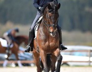 Horishi Hoketsu on Brioni W