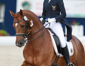 Rebecca Horstmann and Friend of Mine at the 2016 CDIO-PJYR Hagen :: Photo © Astrid Appels