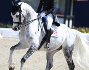 Agnete Kirk Thinggaard bought one of the most wanted upcoming Grand Prix horses, Cassio, in August 2014. The pair is still getting to know one another. Cassio gets a bit slow in piaffe, but the potential is there. The passage is top class.