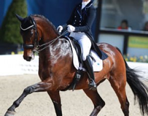 Delphine Meiresonne and Wipsy van 't Heihof were on great form. The very spooky Flemmingh offspring showed tremendous improvement in piaffe and passage and seems to be finally coming of age