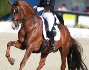 Charlott Maria Schurmann and Burlington (by Breitling x Rohdiamant) made a successful transition from Young Riders through Under 25 to senior Grand Prix level and are working their way up