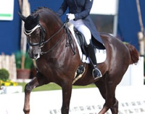 South African Tanya Seymour on Ramoneur (by Rohdiamant x Alabaster)