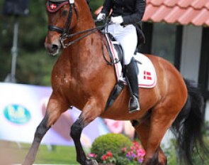 Alexandra Sorensen on Camiro Mandoe