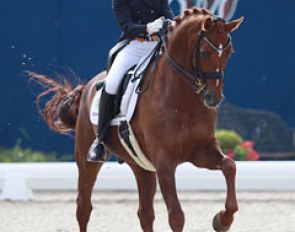 Elisa Timmermann on Don Henrico
