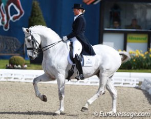 Danish Anne van Olst on her power house, grey gelding Zidhane (by Don Ruto x Negro)