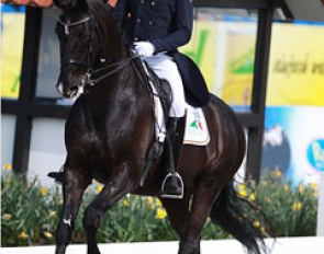 Mario van Orshaegen on his tall Dutch warmblood gelding Wilco V (by Rousseau).