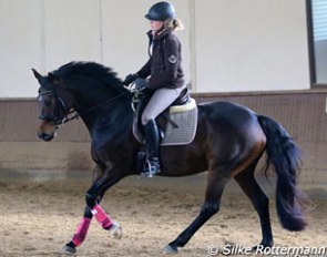 Barbara Jung and her diminutive Hanoverian mare Rascalina worked on double voltes and circles to improve the bend on both reins.