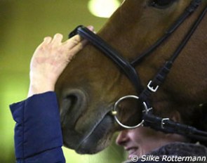 Fort Knox would pass the two-finger noseband rule