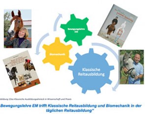 Biomechanics Meets Classsical Dressage in Daily Training