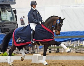 Jayne Turney and Penhaligon's Jupiter win the Novice Open Championship at the 2016 British Winter Nationals :: Photo © Kevin Sparrow