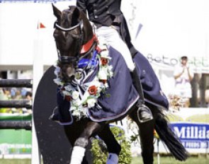 John Tompson and Antonello win the Horse of the Year Show at the 2016 CDI Hastings :: Photo © Libby Law
