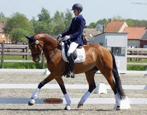 Gert Helsen on Laura Ashley (by Bon Bravour x Sandro Hit)