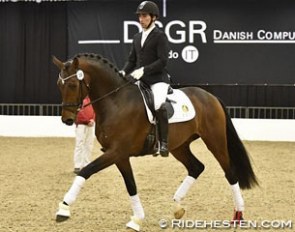 Frederico Mexia de Almeida on Frontline at the 2016 Danish Warmblood Stallion Licensing :: Photo © Ridehesten