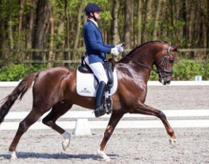 Tmmie Visser on De Begijnhoeve's KWPN stallion Genesis (by Jazz x Silvano N), whose sport name is Guapo