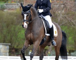 Jana Schrodter on Havana Jack at the 2016 Preis der Besten qualifier in Kronberg :: Photo © Mirka Nilkens