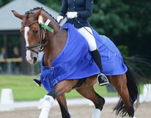 Christina Konings and Lassira B at the 2016 Langenfeld Bundeschampionate qualifier :: Photo © Mirka Nilkens