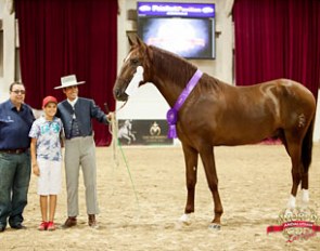 Born in the U.S.A. Winner at the 2016 Andalusian World Cup