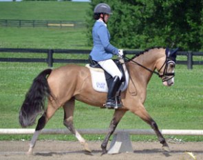 Lauren Chumley and Nikolas at the 2016 U.S. Dressage Pony Cup in Lexington, KY :: Photo © Jennifer Keeler