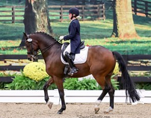 “Comback kids” Lauren Thornlow and Royal Konig won the Grand Prix Adult Amateur Championship at the 2016 US Dressage Finals :: Photo © Susan J. Stickle