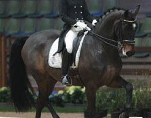 Caroline Darcourt on Paridon Magi