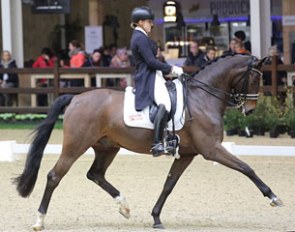 Alexa Westendarp and Der Prinz at the 2016 CDI Lier