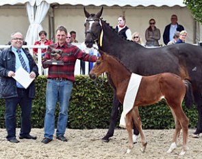 DLZ-manager Urs Schweizer congratulates Jurgen de Baey, the breeder of the Lodbergen Filly Champion by For Romance x De Niro :: Photo © Tanja Becker