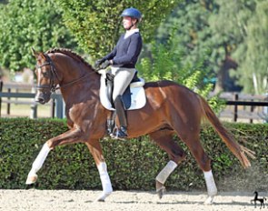 Melanie Tewes on Dressage Performance Centre Lodbergen's Best For Me OLD (by Bretton Woods x Latimer) :: Photo © Tanja Becker