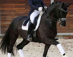 Gestut Sprehe's rider Michelle Hagman on the Sprehe's Trakehner stallion Millennium :: Photo © LL-foto