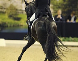 Morgan Barbançon Mestre on Sir Donnerhall II OLD